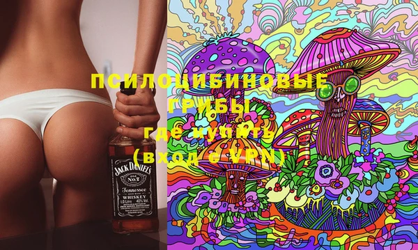 ешки Ельня