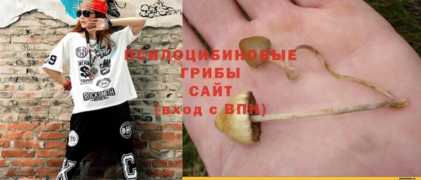 твердый Пестово