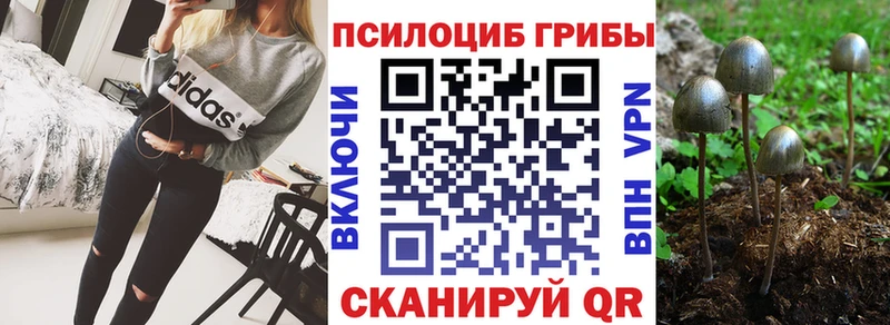 Галлюциногенные грибы мицелий  Артёмовск 